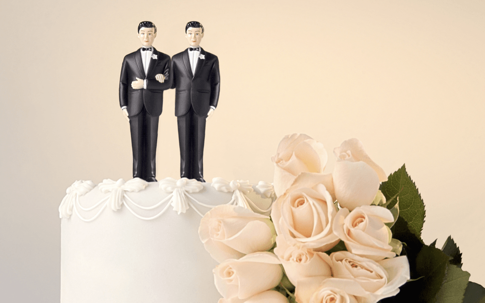 Gay couple on top of a wedding cake