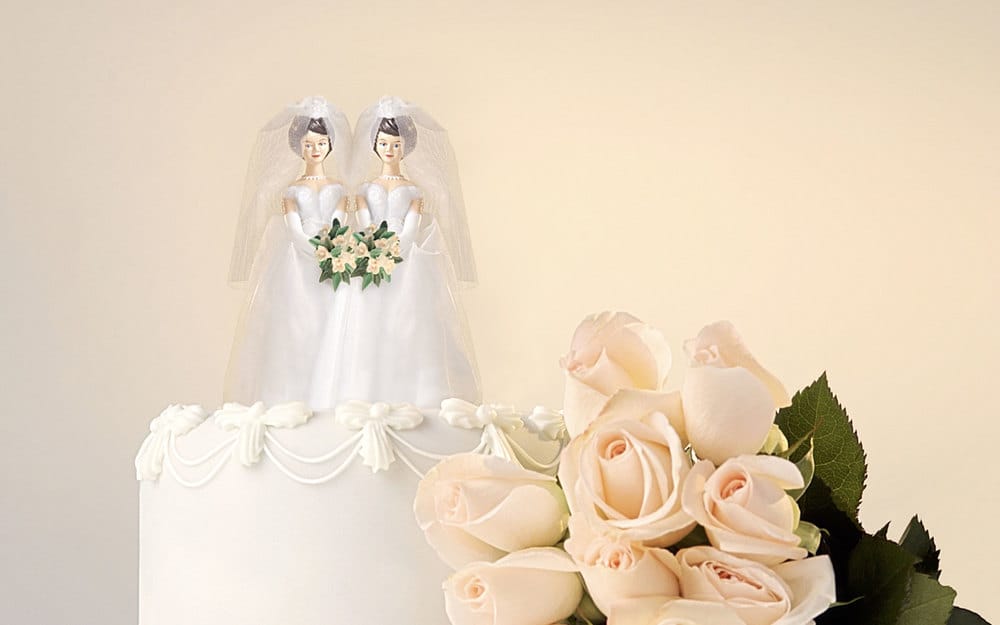 Lesbian couple on top of a wedding cake