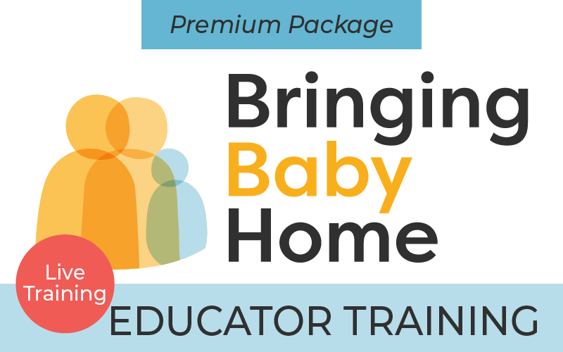 Bringing Baby Home Premium Product Image