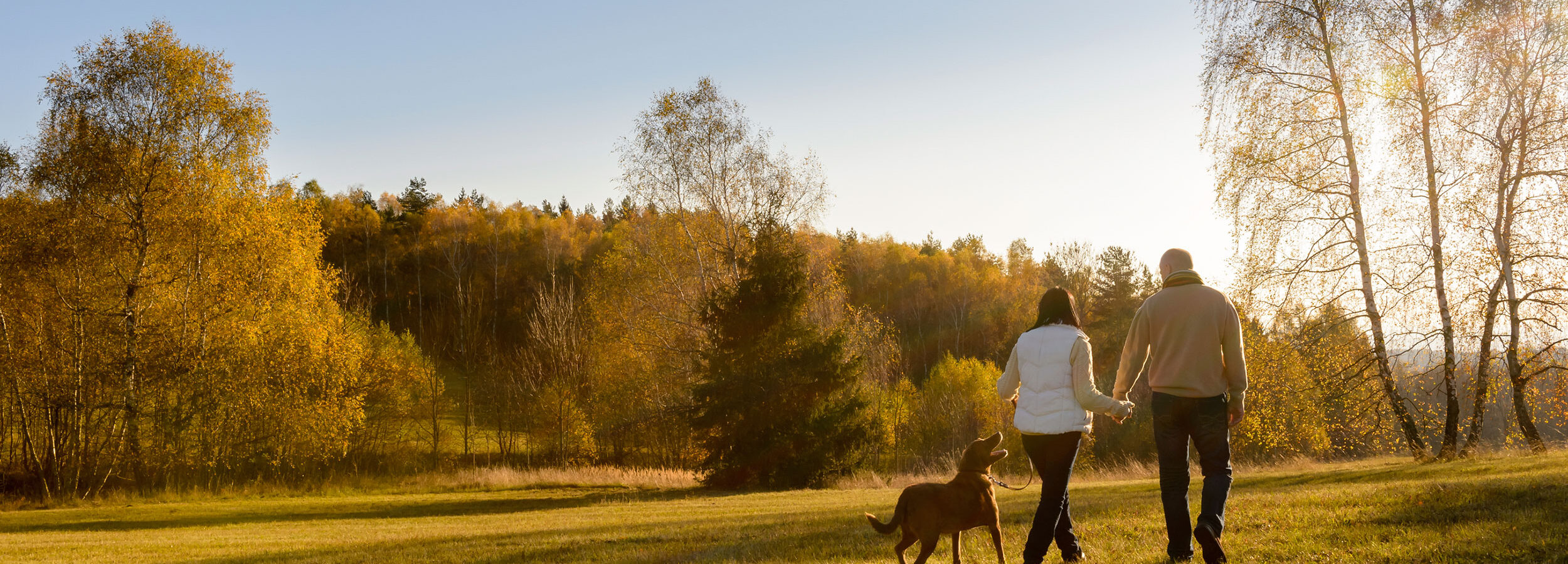 Image of couple walking together, holding hands on a sunny, fall day.